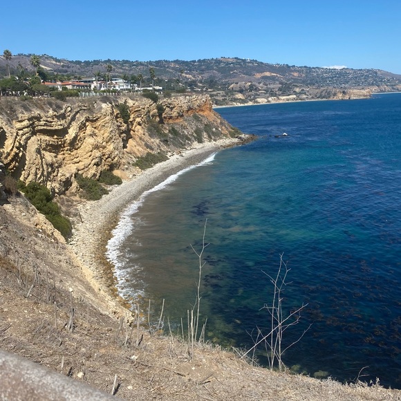 Meet your Posher, Kennedy - Picture 3 of 4